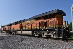 BNSF 7101 Roster shot